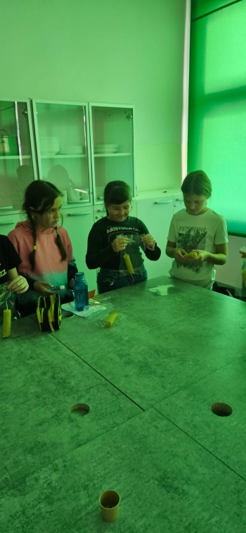 IMG-20251008-WA0003
